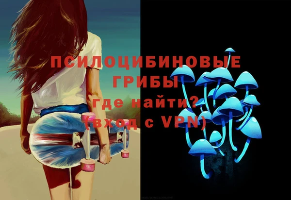 ALPHA PVP Верхний Тагил
