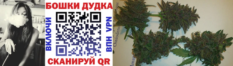 закладка  Клин  Марихуана THC 21% 